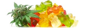 THC Edibles